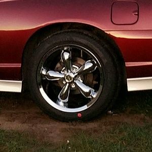 Meet your Posher, Bianca