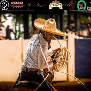 Meet your Posher, Ramiro