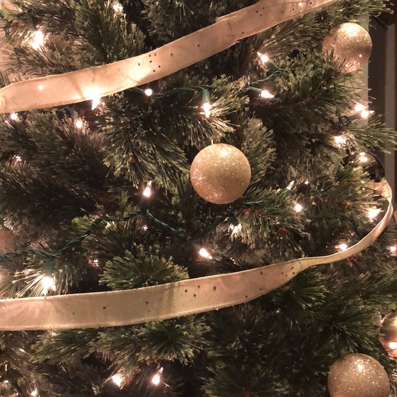 Meet your Posher, Angela - Picture 1 of 1