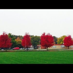 Meet your Posher, Erics