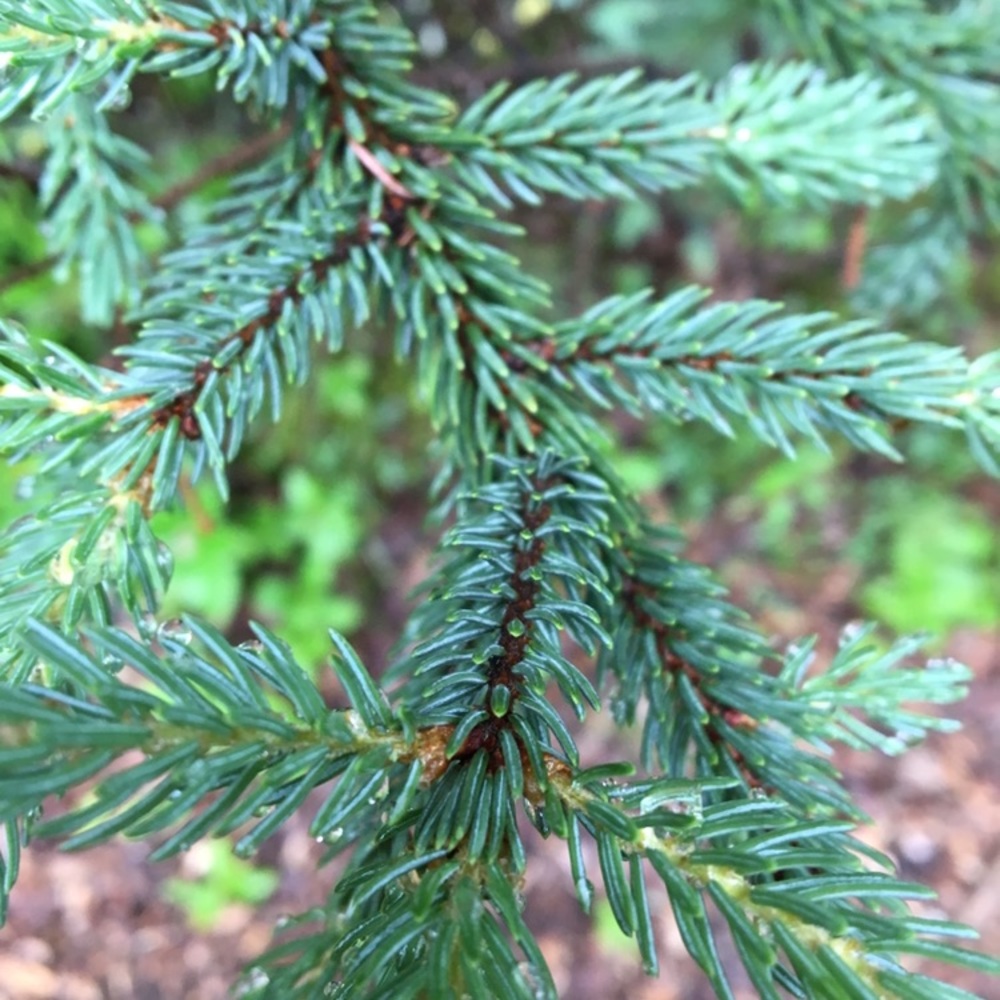 Meet your Posher, Chelsea