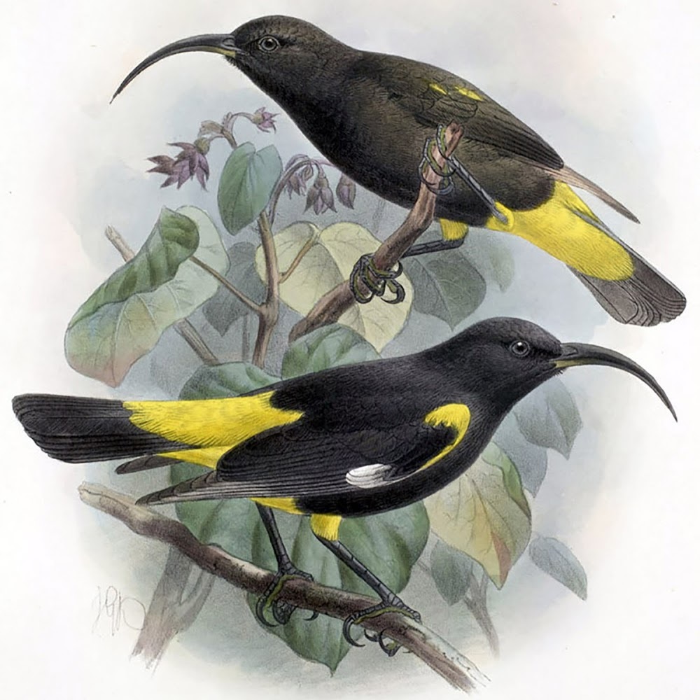 Meet your Posher, Keone