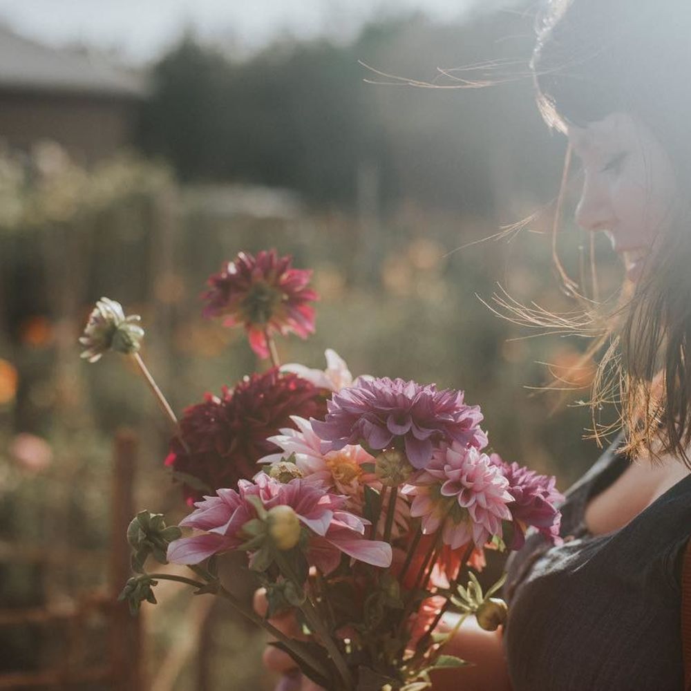 Meet your Posher, Bonnie