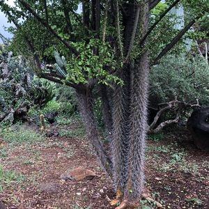 Meet your Posher, Cesar