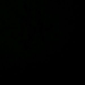 Meet your Posher, Lupe