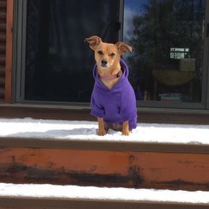 Meet your Posher, Emma