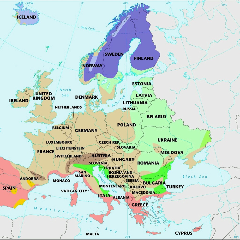 Meet your Posher, Tasha