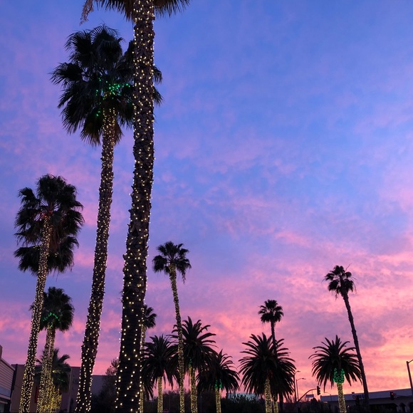 Meet your Posher, Sabrina - Picture 1 of 1