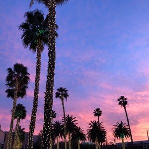 Meet your Posher, Sabrina