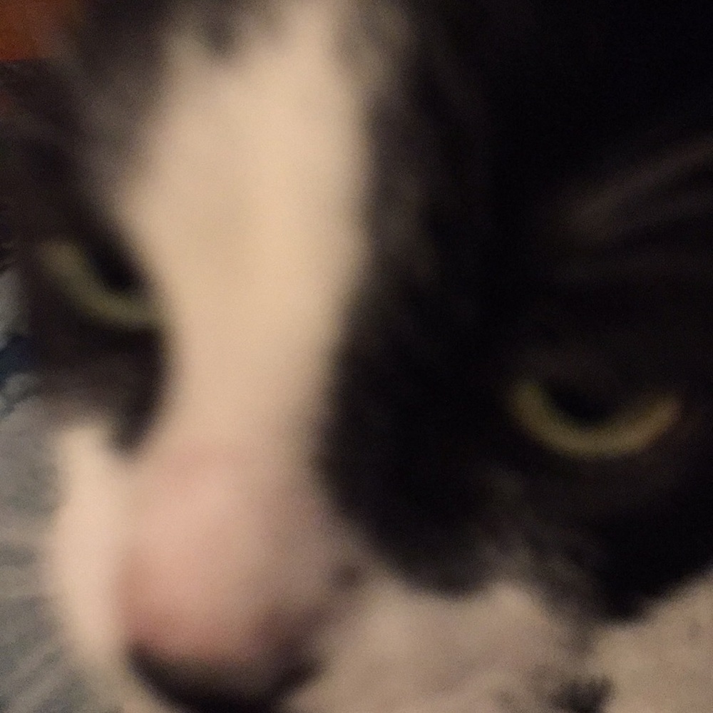 Meet your Posher, Carmen