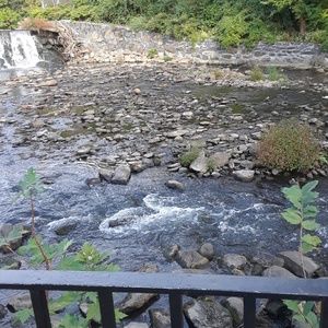 Meet your Posher, Randy