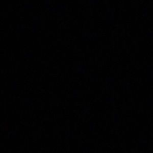 Meet your Posher, Ernest