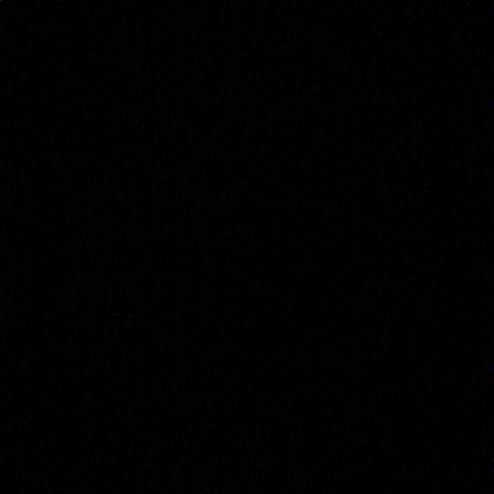 Meet your Posher, Annabelle