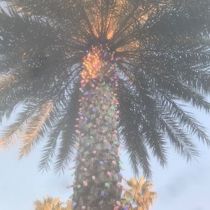 Meet your Posher, Ryann