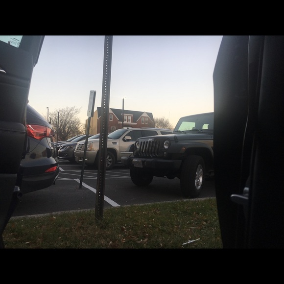 Meet your Posher, Bird - Picture 1 of 1