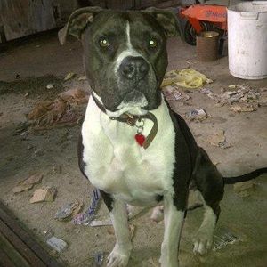 Meet your Posher, Dustin