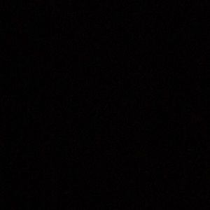 Meet your Posher, Dani