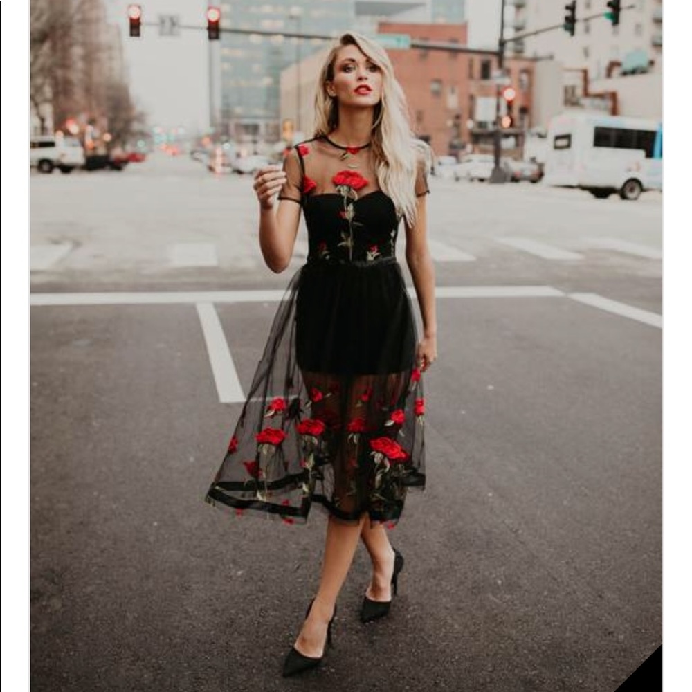 Going to the Garden Appliqué dress from Vici