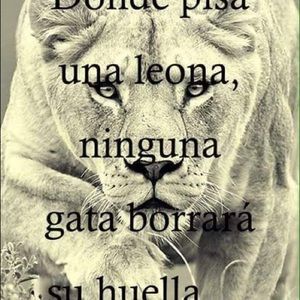 Meet your Posher, Jorge