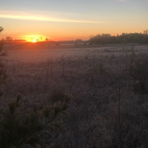 Meet your Posher, Jack