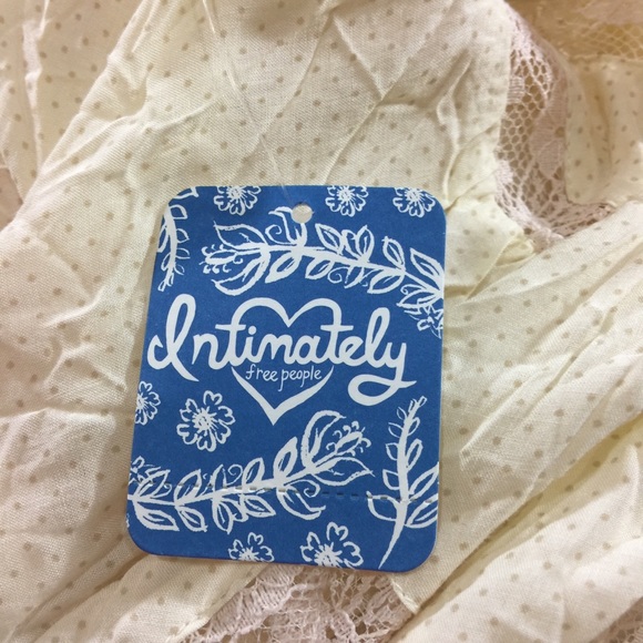 {FREE PEOPLE} NWT Voile & Lace Trapeze Slip Dress - Picture 8 of 8