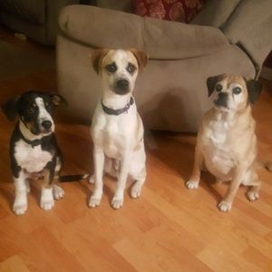 Meet your Posher, Karissa