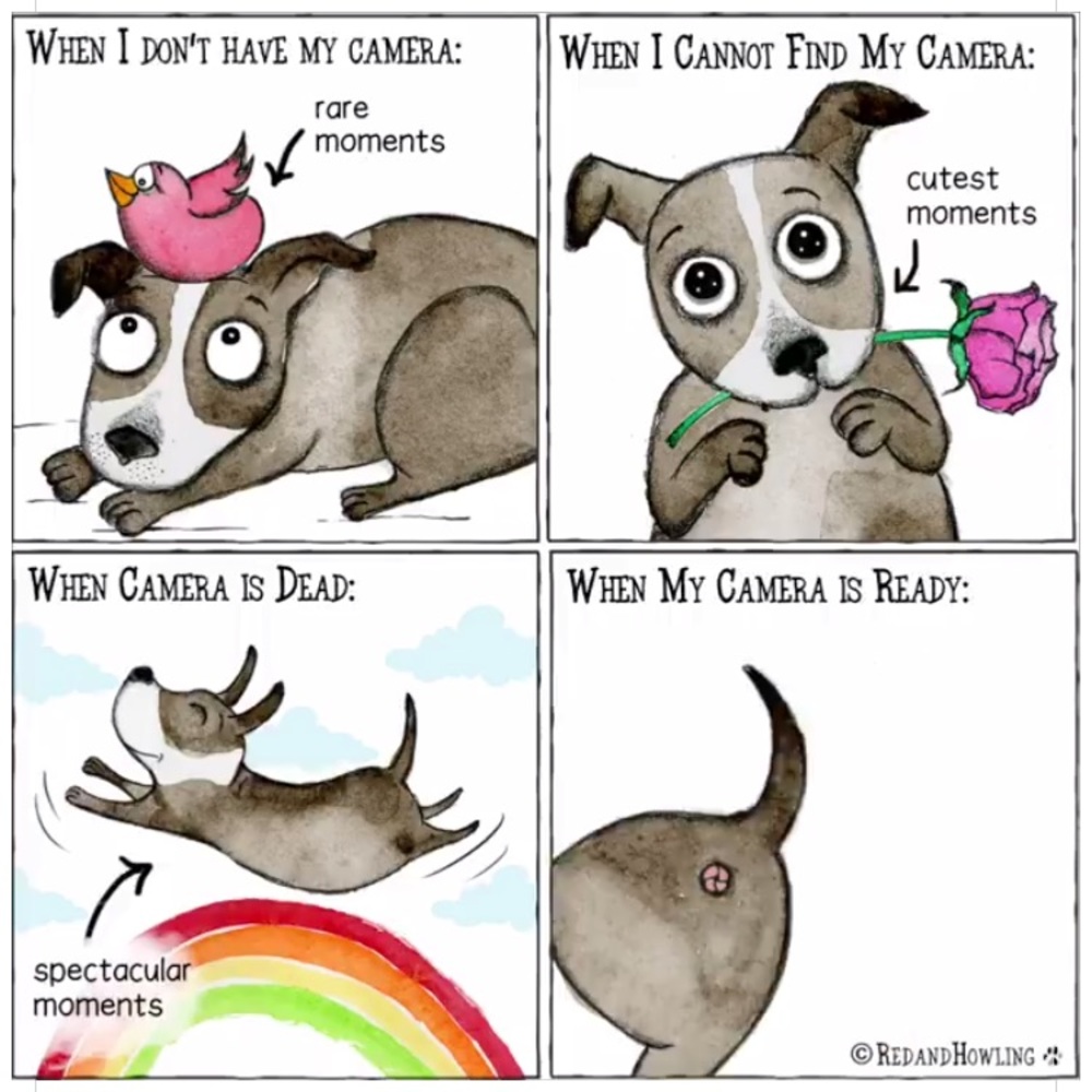 Meet your Posher, Christina