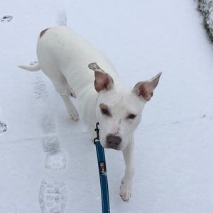 Meet your Posher, Dan