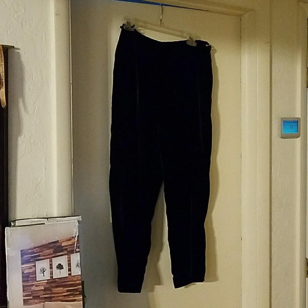 Velvet pants