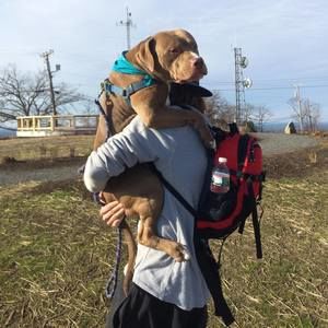 Meet your Posher, Scott