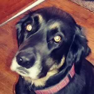 Meet your Posher, Aaron