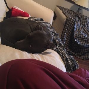 Meet your Posher, Jesse