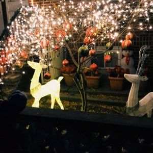 Meet your Posher, Sopo