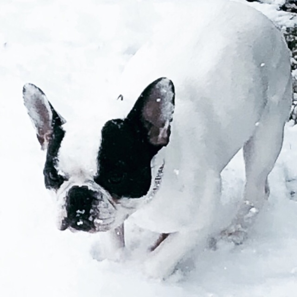 Meet your Posher, Vicky