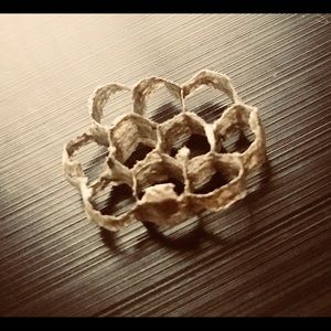 Meet your Posher, Irene