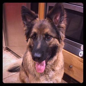 Meet your Posher, Barb