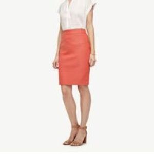 Ann Taylor Petite Pencil Skirt