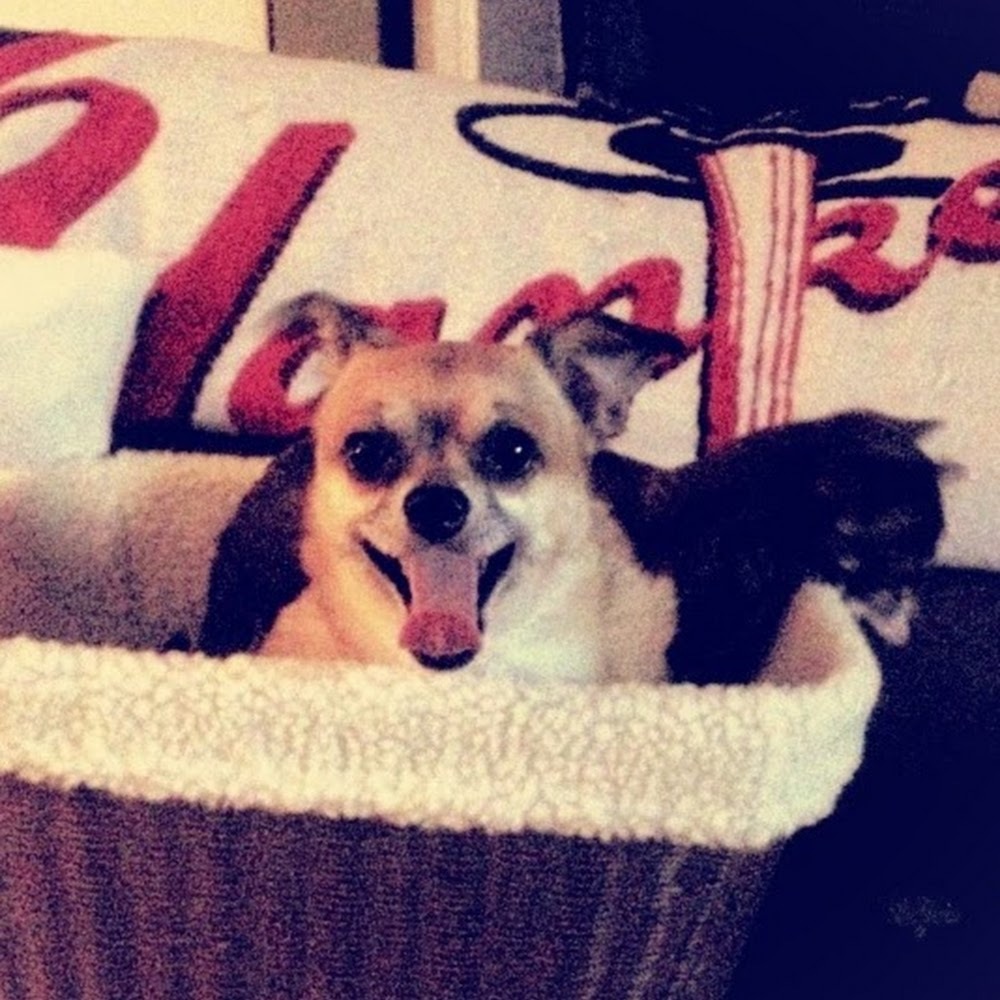 Welcome to my closet.