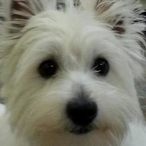 Meet your Posher, Mara