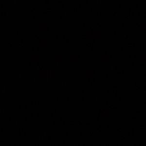 Meet your Posher, Henry