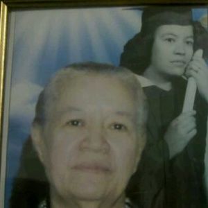 Meet your Posher, Ernesto