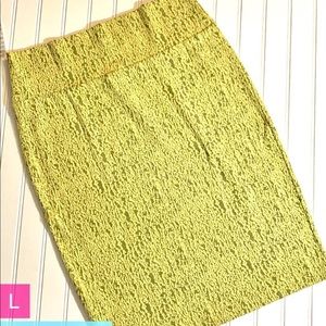 Lularoe bnwt Cassie skirt