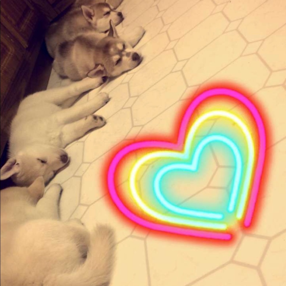 Meet your Posher, Jessica