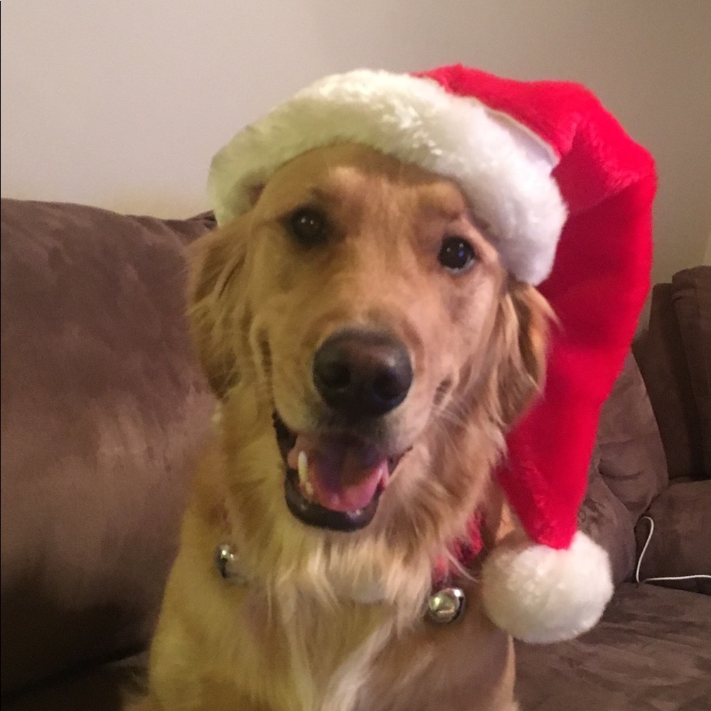 Meet your Posher, Aimee