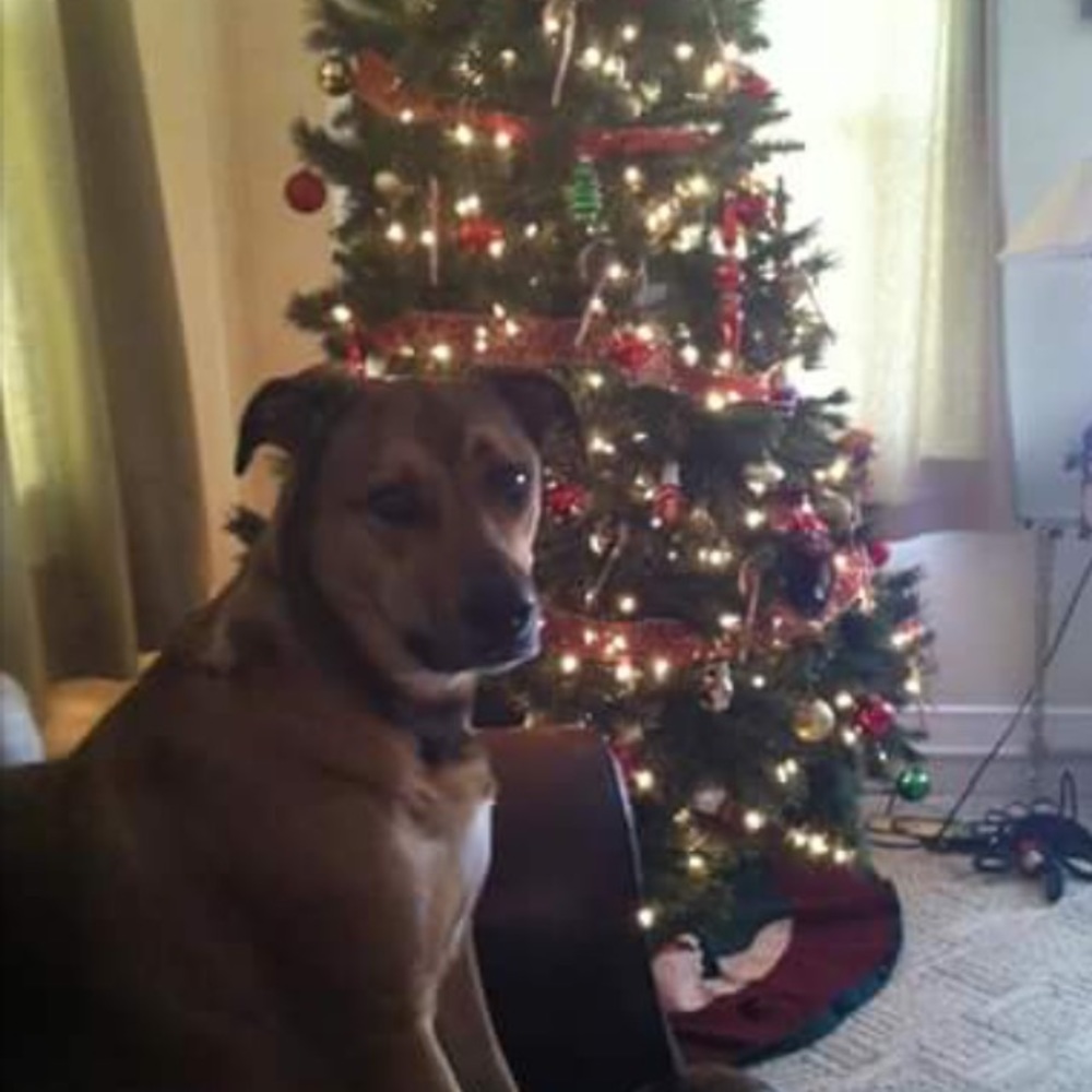 Meet your Posher, Shelly