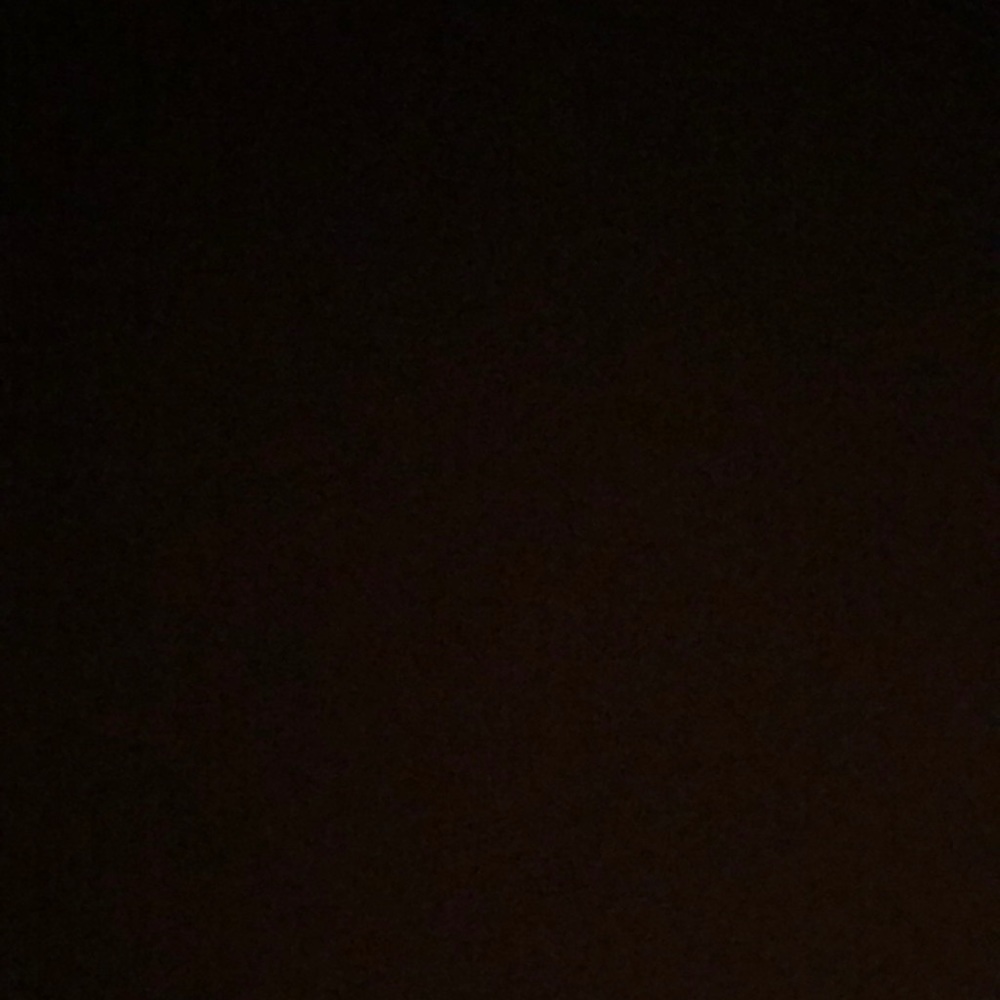 Meet your Posher, Lydia