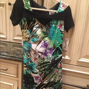 Joseph Ribkoff Dress Size 10