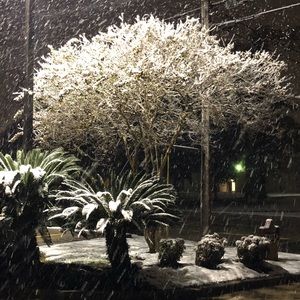 Meet your Posher, Debi