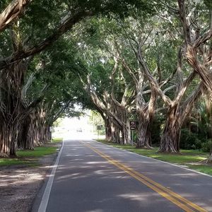 Meet your Posher, Rosalie