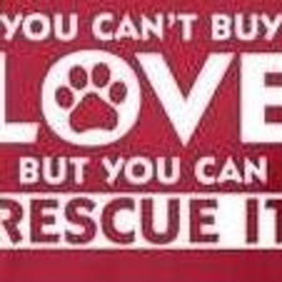 Meet your Posher, Kelly - Picture 1 of 1